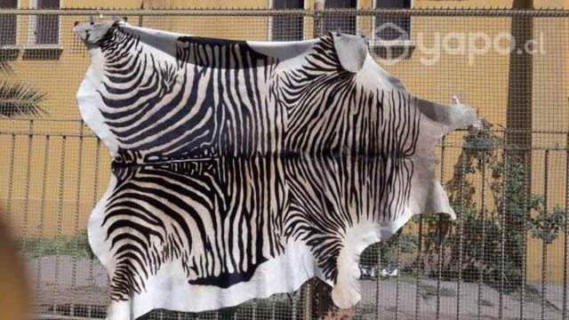 Alfombra cuero 100 % 4m2. animal print