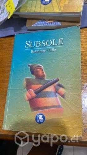Libro Subsole
