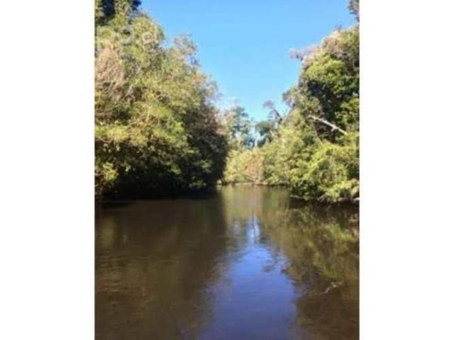 terreno 24 hectáreas 24 mil M2 Coquiao Ancud