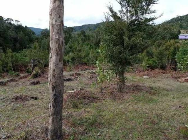 Terreno caleta manzano