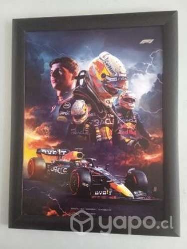 Cuadro MAX VERSTAPPEN
