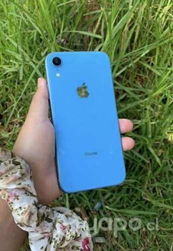 IPhone XR celeste