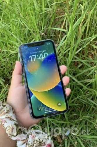 IPhone XR celeste