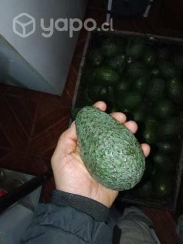 Palta hass
