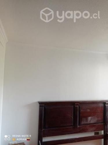 Maestro de Construcción