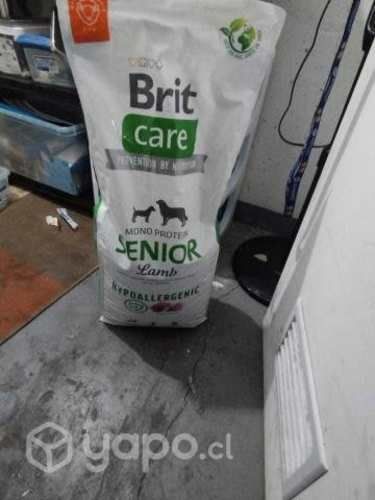Alimento brit care para seniors