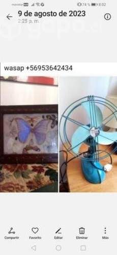 Cuadro mariposas disecada y ventilador antig