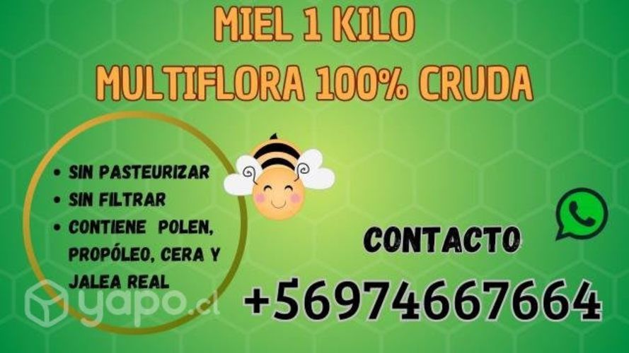 Miel multiflora 100% cruda