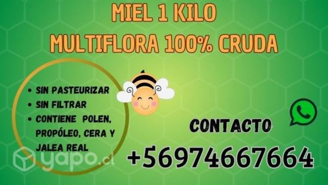 Miel multiflora 100% cruda