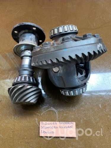 Pinones diferencial delant 4813DH Nissan Navara
