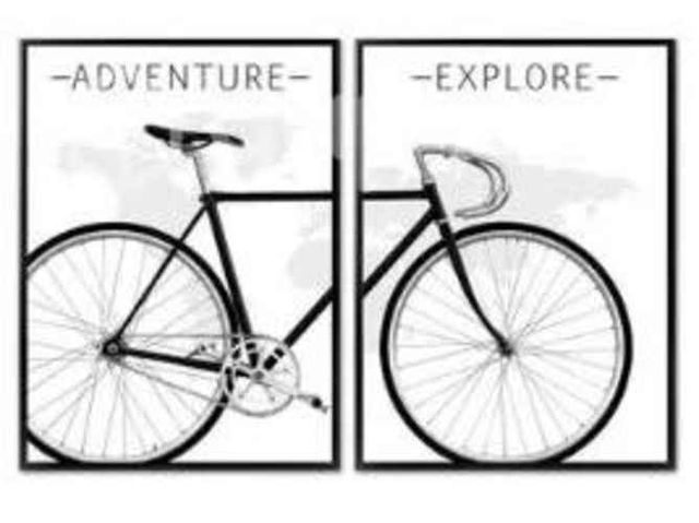 Hermoso cuadro de bicicleta