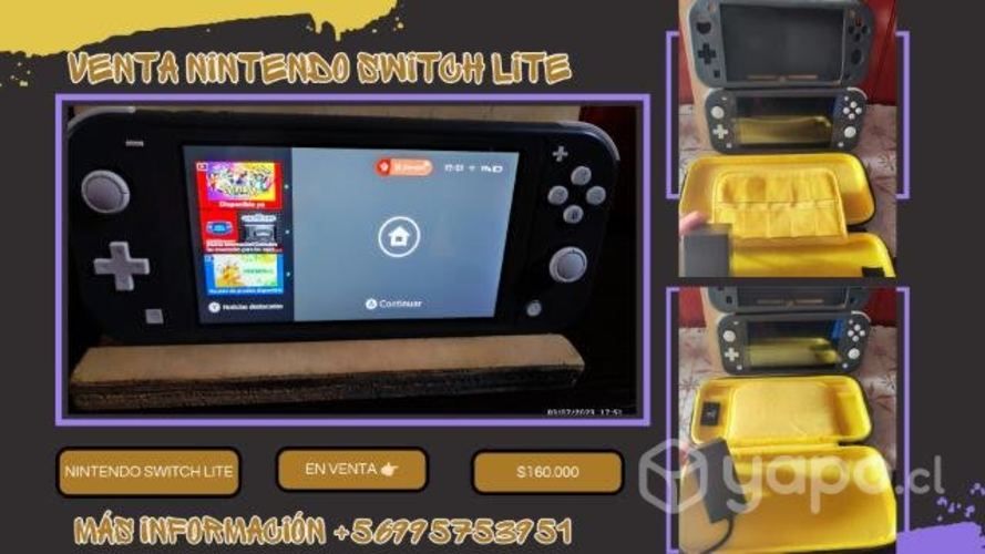 Nintendo switch lite