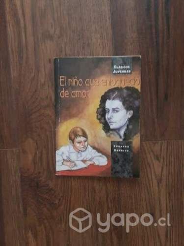 Libro el niño que enloqueció de amor