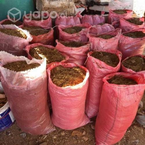 Guano de cabra y de caballo