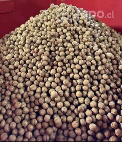 Venta Nueces Chandler - Cosecha 2023