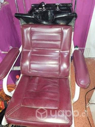 Lavapelo profesional