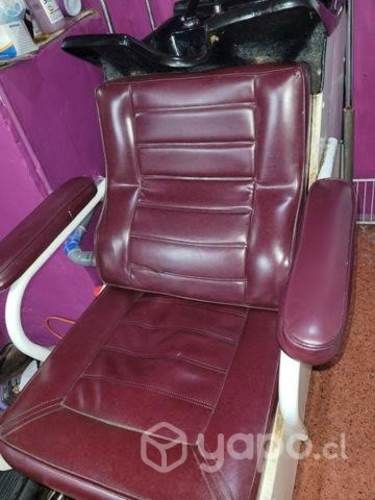 Lavapelo profesional