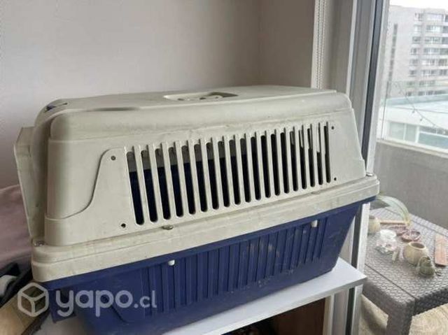 Kennel para animales