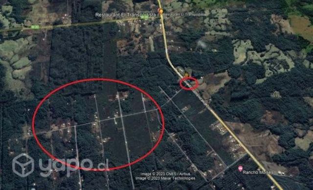 5000 mts2 Sector coipomo