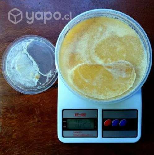 Miel de Ulmo traída de Ensenada - Ralún