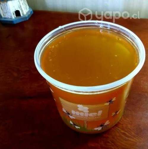 Miel de Ulmo traída de Ensenada - Ralún