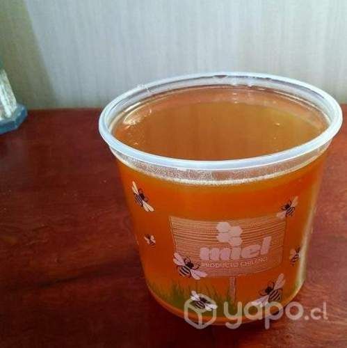 Miel de Ulmo traída de Ensenada - Ralún