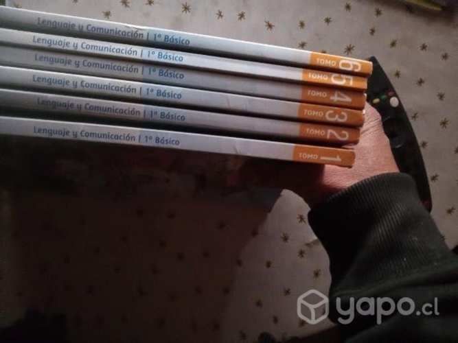 libros educativos de primero básico