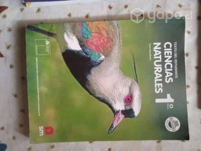 libros educativos de primero básico