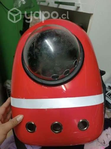 Mochila transportadora de gatos