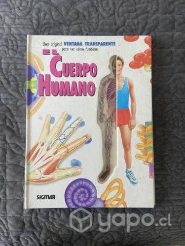 El cuerpo humano