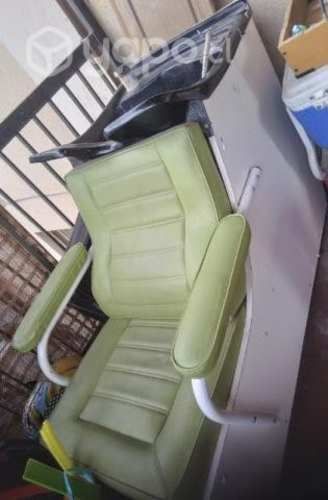 Lavapelo Profesional