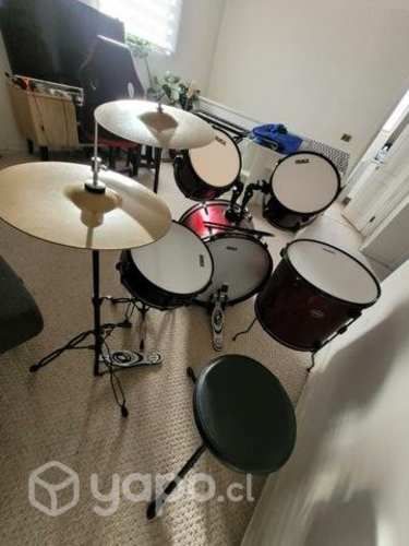 Bateria Musical Adulto