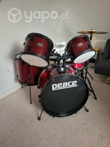 Bateria Musical Adulto