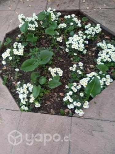 Gran casa en el mejor sector de Ñuñoa