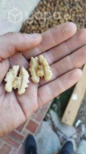 Chandler de exportación de la temporada