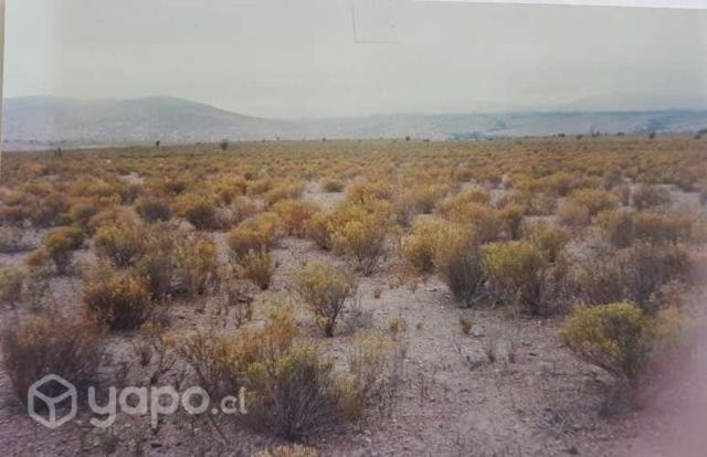 Terreno sector altos del telhuén cercano ovalle