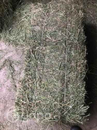 Fardos de alfalfa 4to corte