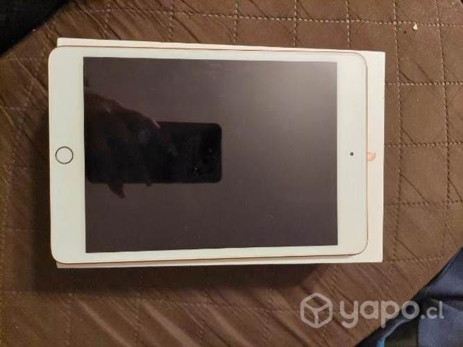 IPad mini (5.ª generación