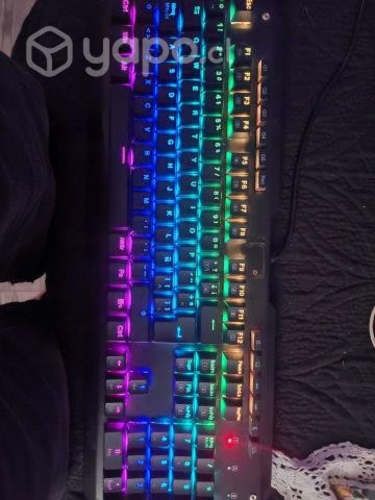 Teclado mecanico reddragon indrah switches red