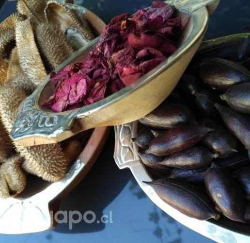 Fuentes Madera, Semillas