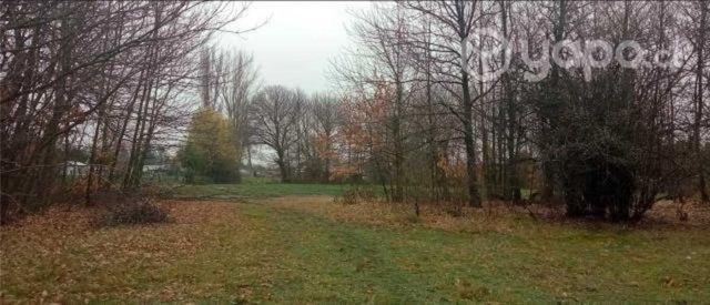 Terreno en Los Angeles Chile