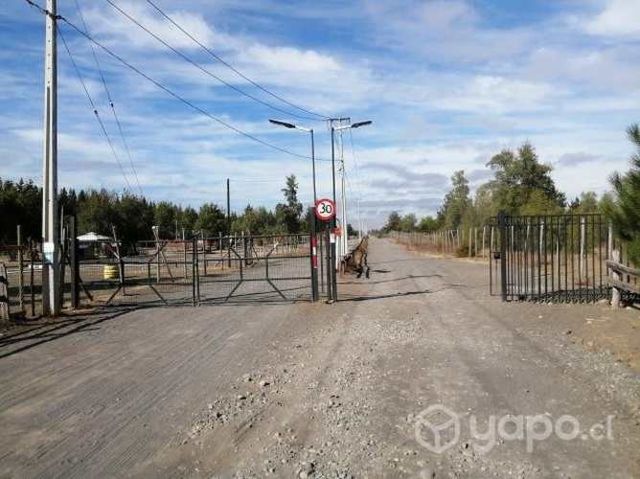 Parcela de grado cerca de Saltos del Laja