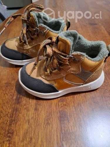 botines no.24 Colloky