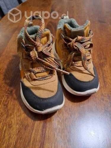 botines no.24 Colloky