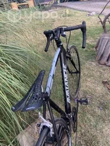 Bici Ruta Avalanche talla 52 (M-L)