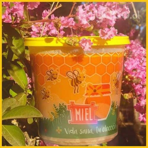 Miel Nativa RECIEN COSECHADA