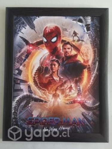 Cuadros de SPIDERMAN