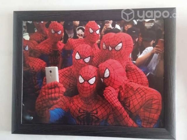 Cuadros de SPIDERMAN