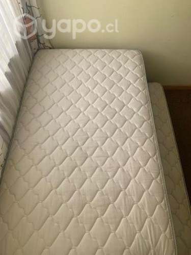 Cama Nido Diván Ortopedic