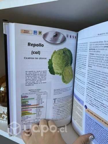 El Poder Medicinal de los Alimentos